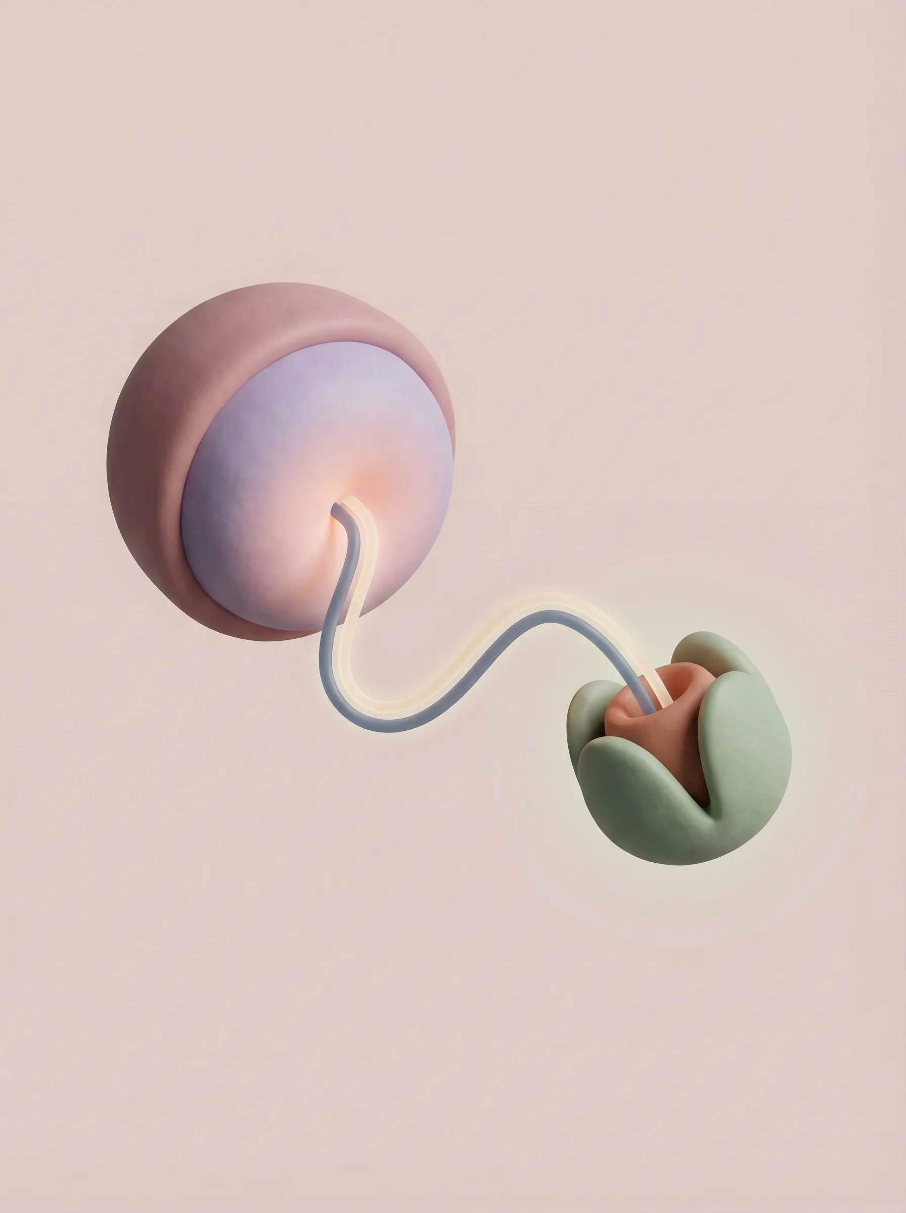 Dopamine Receptor Hypersensitivity: Dopamine receptors in the basal ganglia are hypersensitive in TS, meaning normal dopamine levels produce amplified motor responses. This explains why stress and excitement (which increase dopamine) intensify tics, and why dopamine-blocking medications can reduce them.